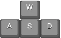 WASD keys