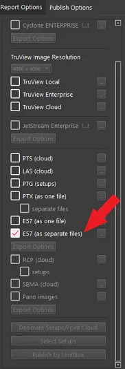 RealityPlatform Export settings