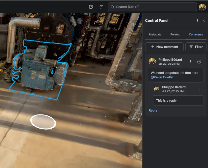 Entity comment in the Comments tab of the metadata panel
